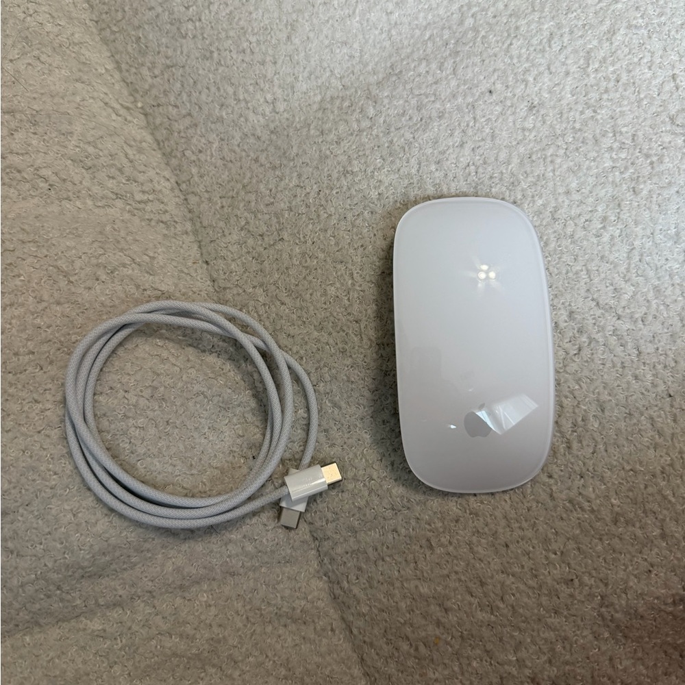 Apple White Wireless Mouse with Gray Charging Cable